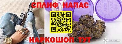 СК Туймазы