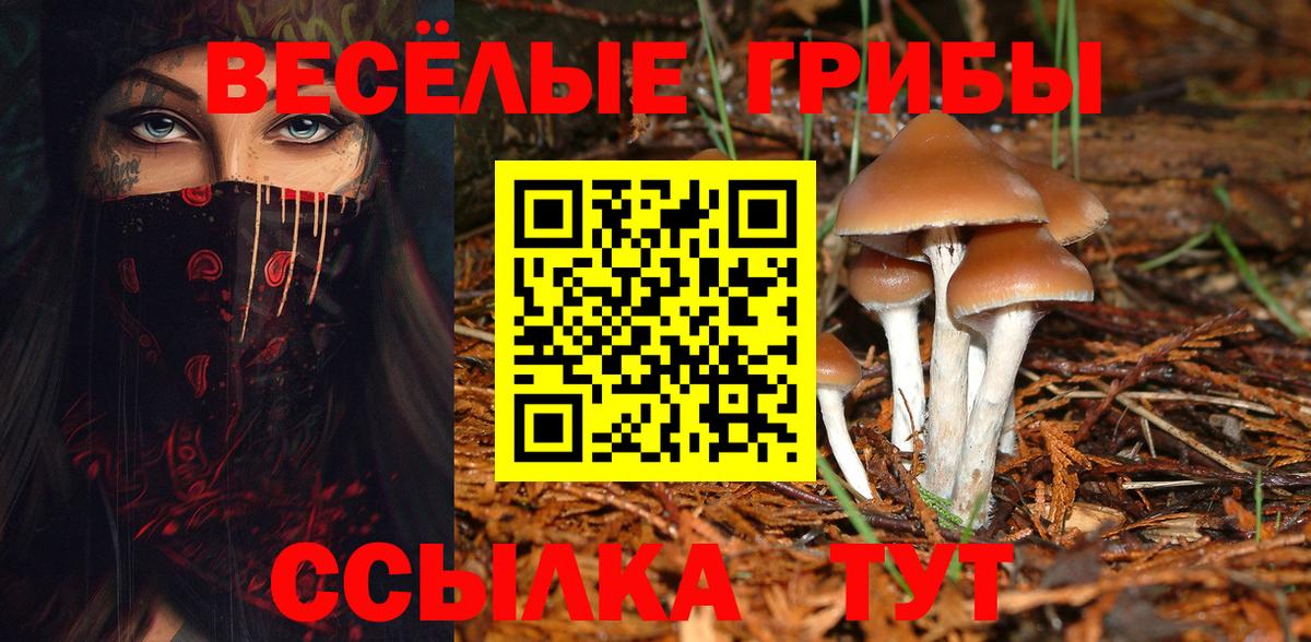 Новоалтайск  Галлюциногенные грибы мухоморы  Вход с VPN  Галлюциногенные грибы мухоморы 